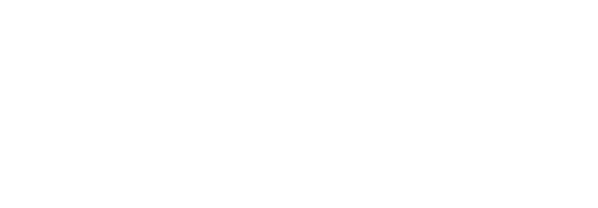 A generated local business website preview